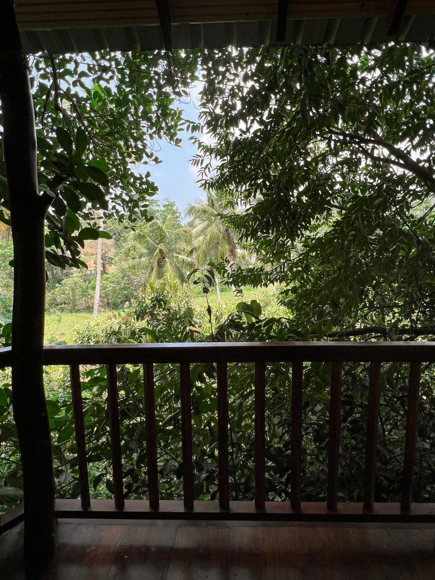 Cinnamon View Lodge Mirissa Room photo